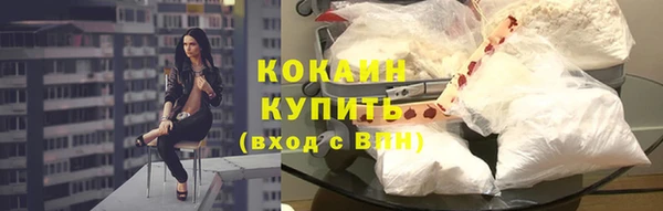 прущие грибы Ачинск