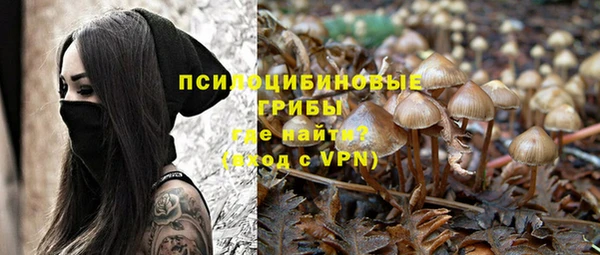 mdpv Майский