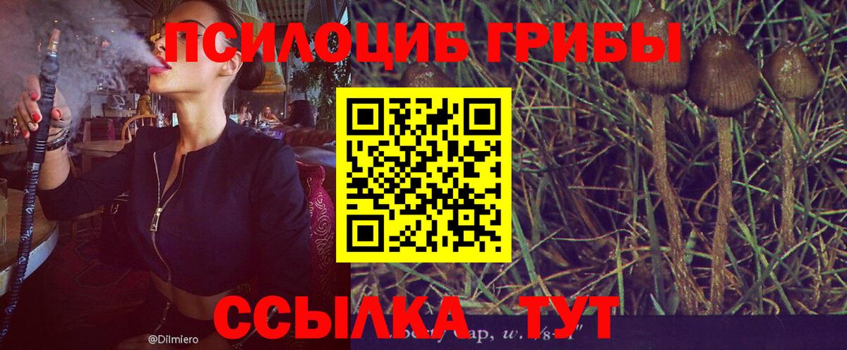 Псилоцибиновые грибы прущие грибы Архангельск