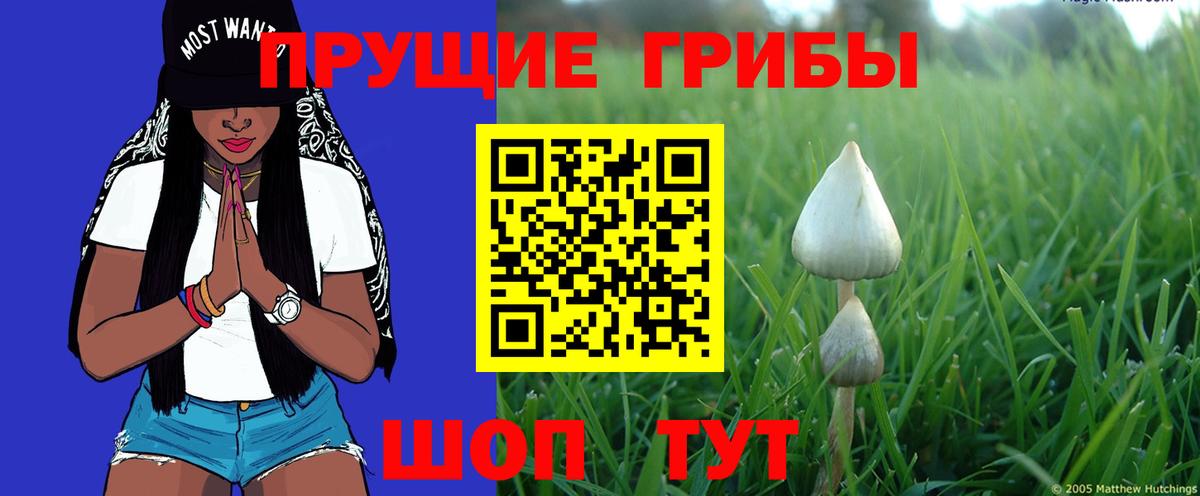 Псилоцибиновые грибы Magic Shrooms Архангельск